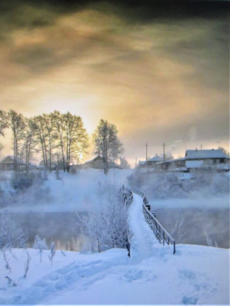 Photo #13795363