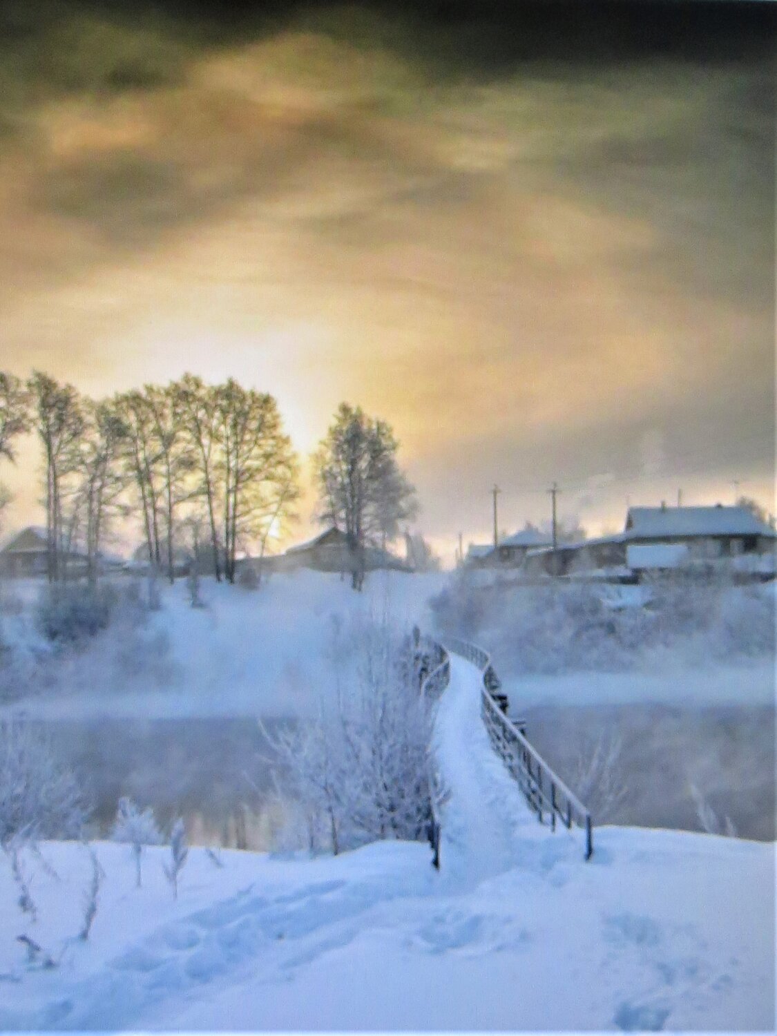 Photo #13795363