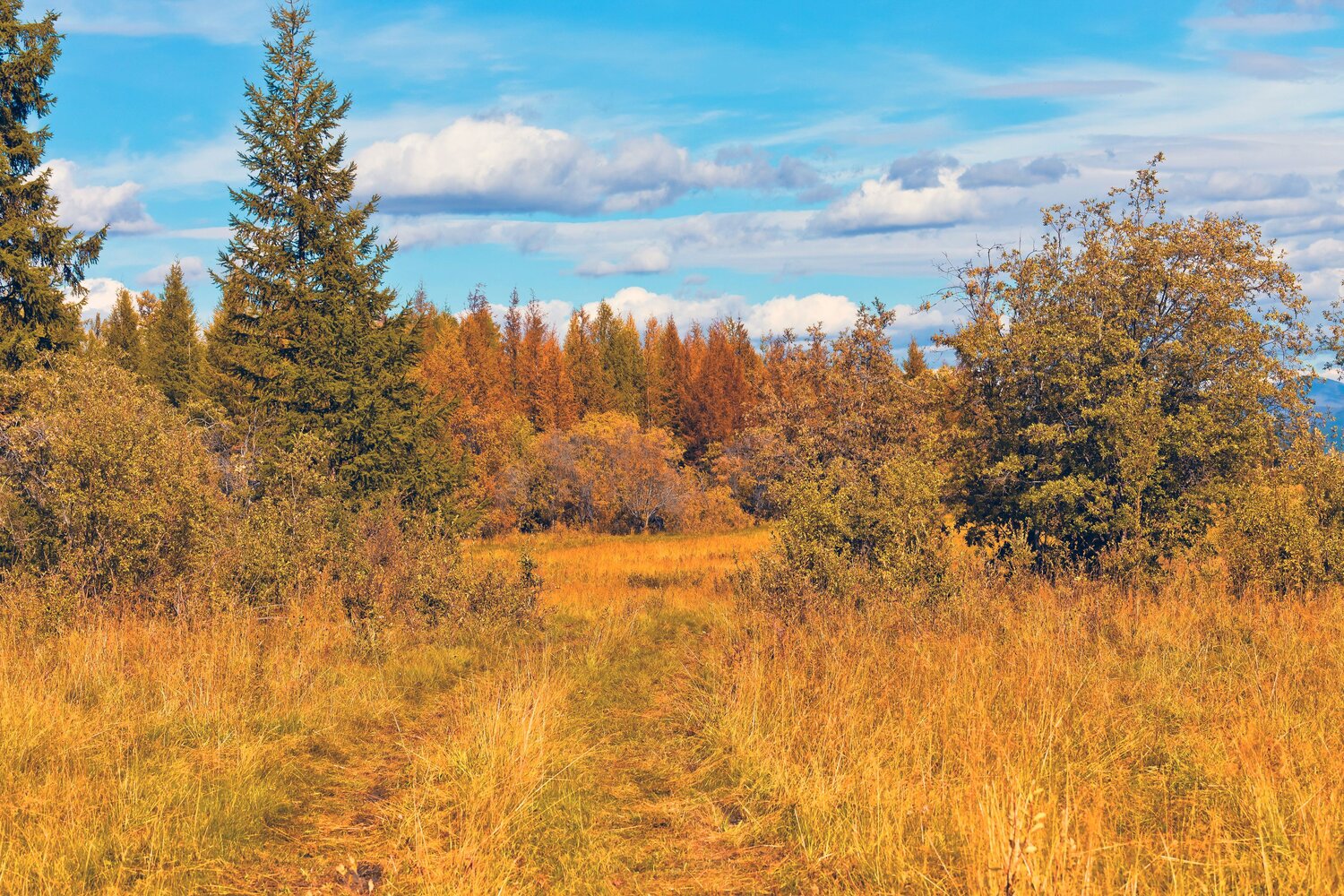 дорога в деревню.