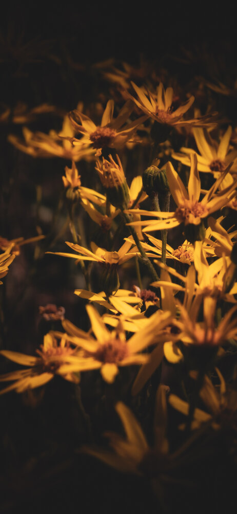 Photograph by Артем Сурганов
