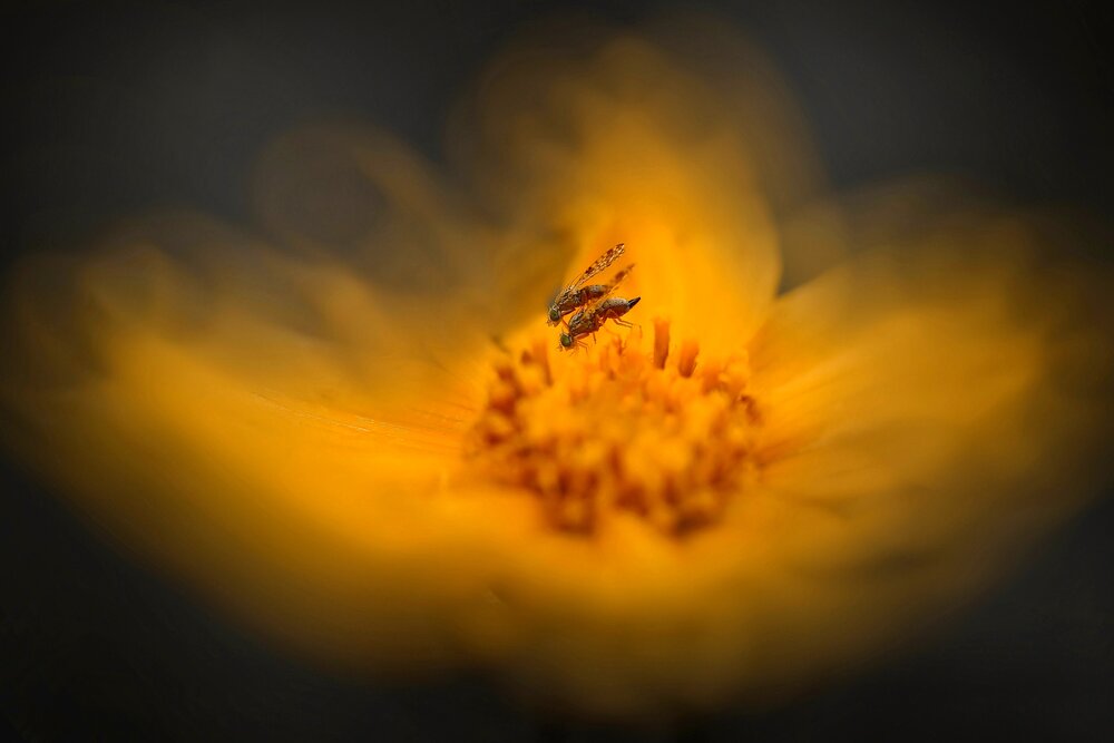 Photograph by Татьяна Бравая