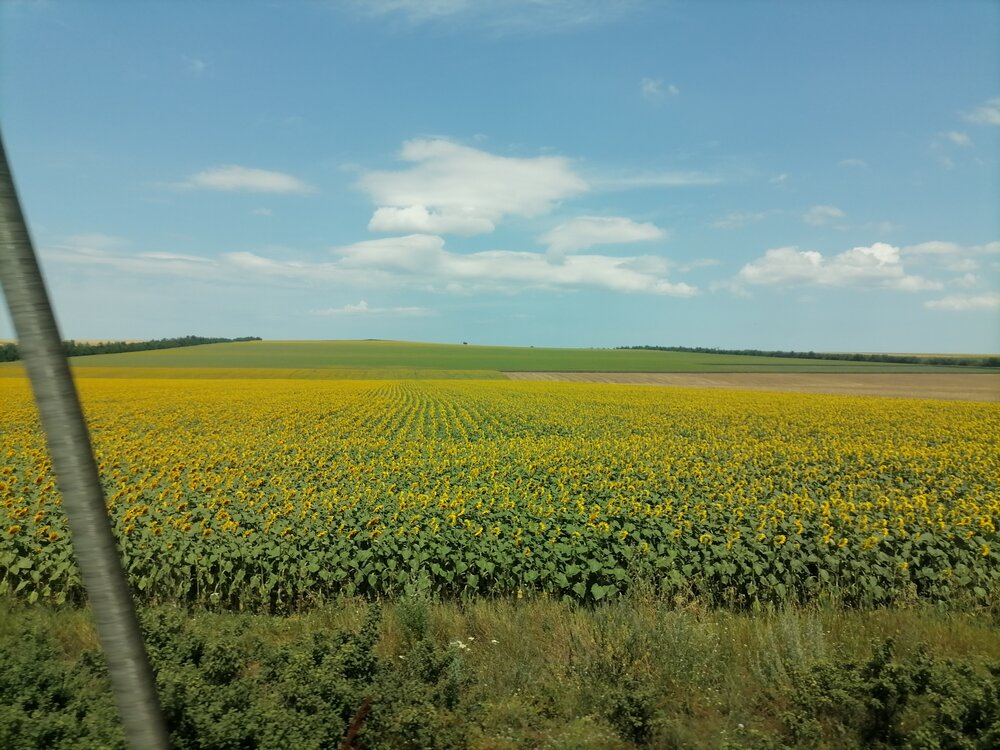 Photograph by Ольга Шабалина