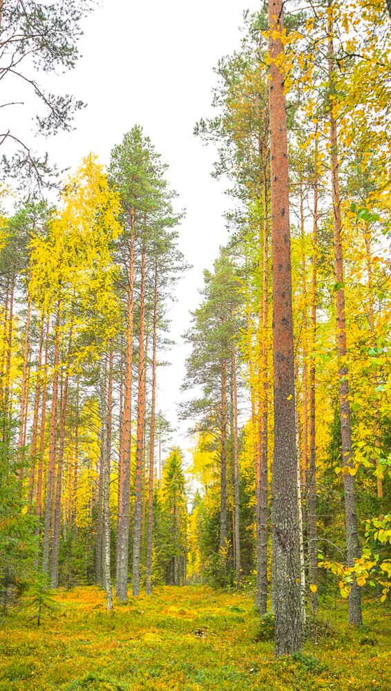 Photograph by Иван Жуков