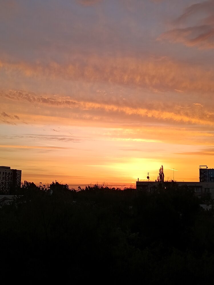Photo #13795549