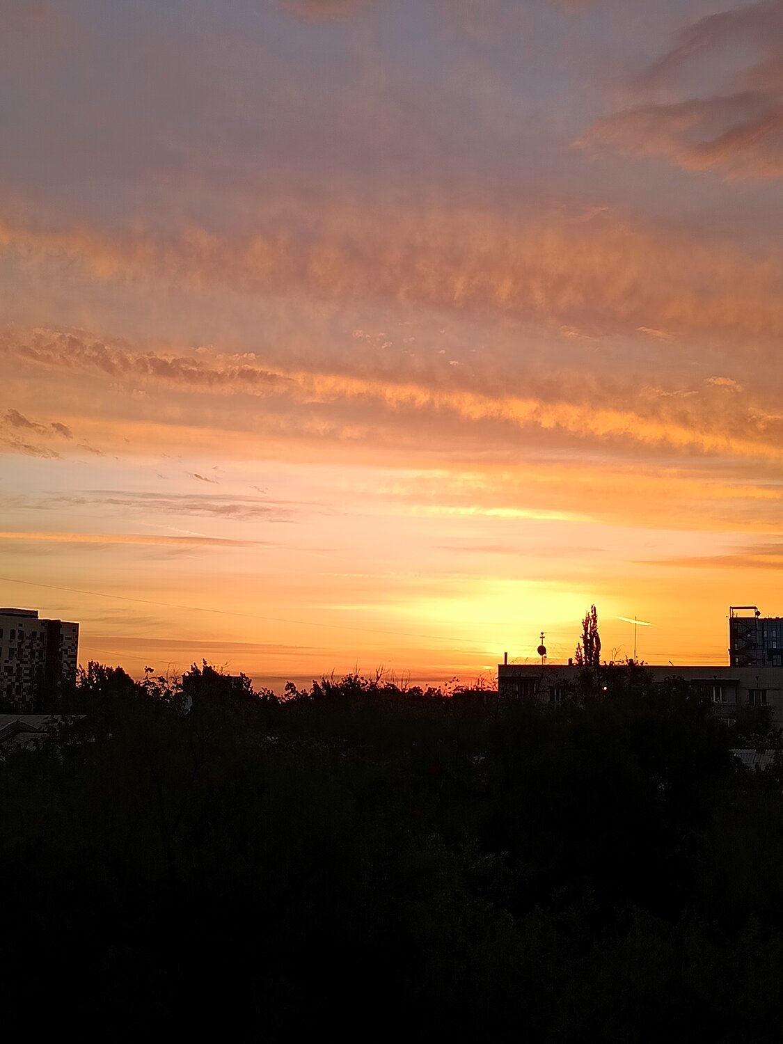 Photo #13795549