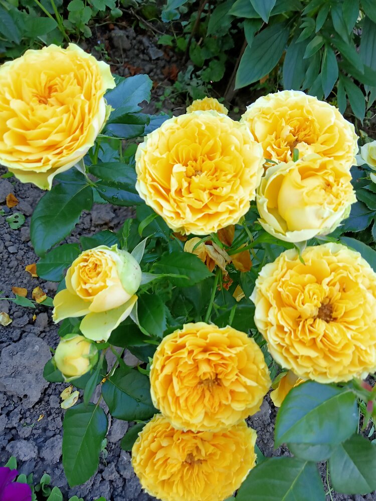 Photograph by Ольга Сергеева