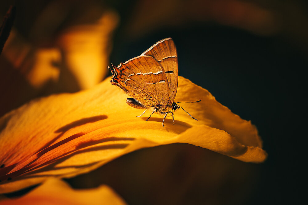 Photograph by Волкова Анна