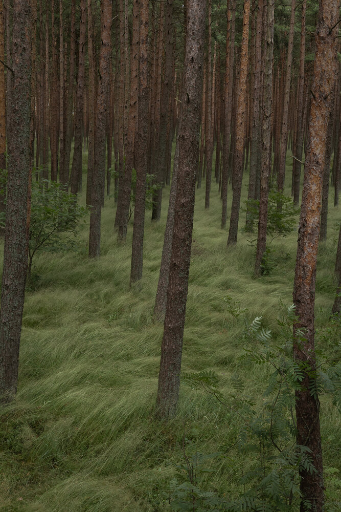 Фотография автора Татьяна Сизова