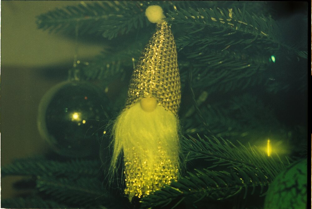 Photograph by Александр Сотниченко