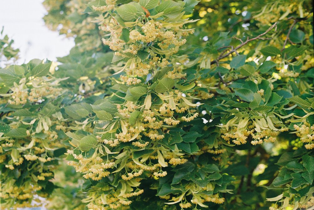 Photograph by Александр Сотниченко