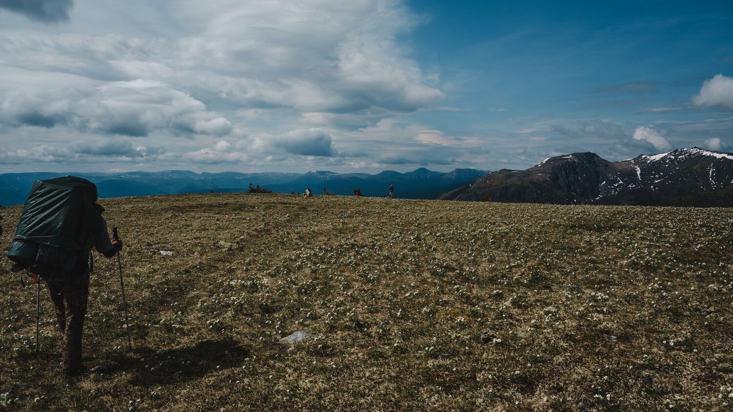 Photo #13795686