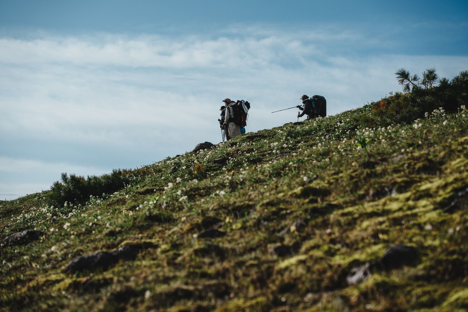 Photo #13795692