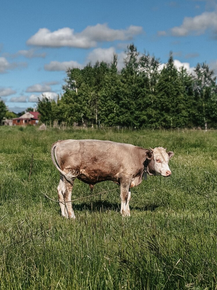 Photograph by Юлия Куклина