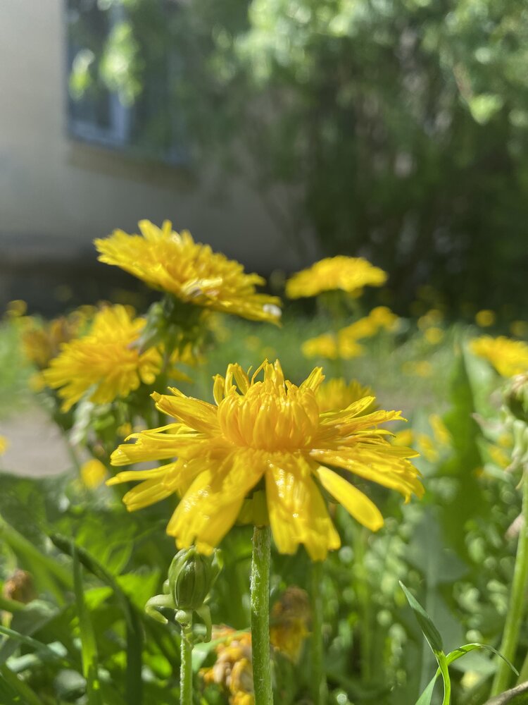 Photograph by Олеся Чистова