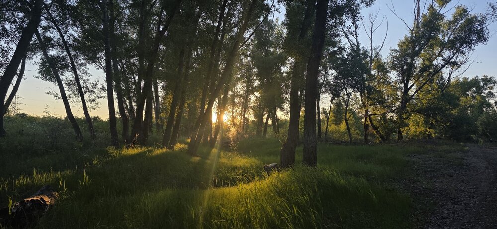 Photograph by Гольназ