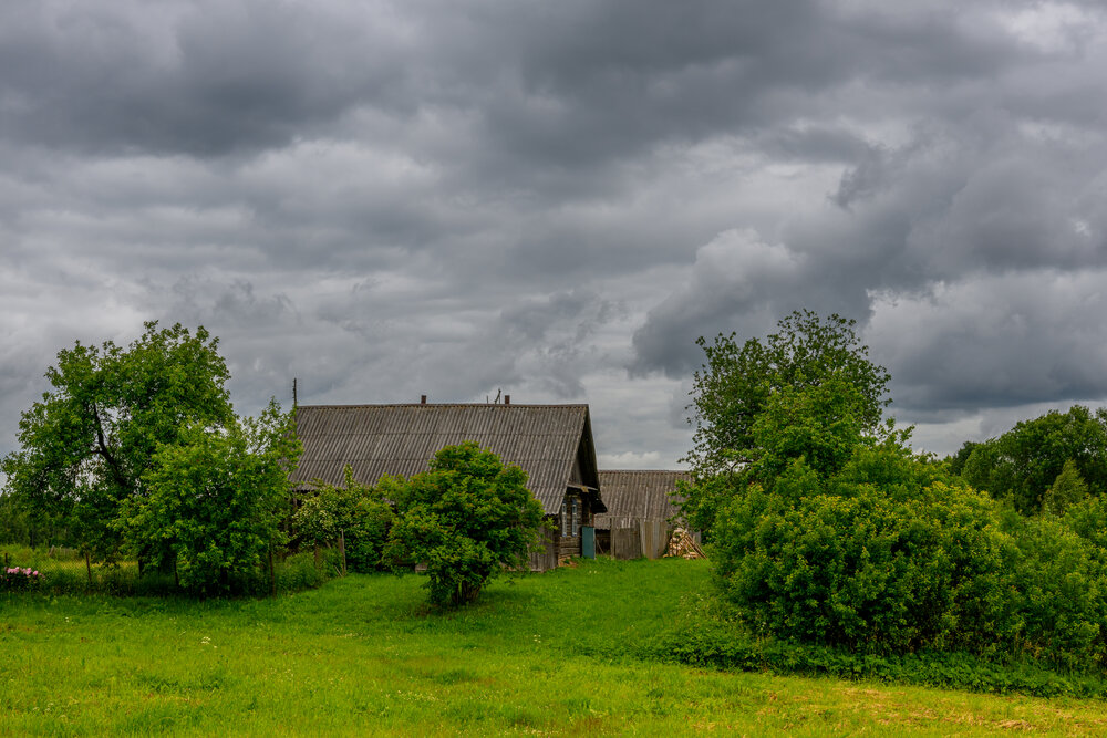 Photo #13796005