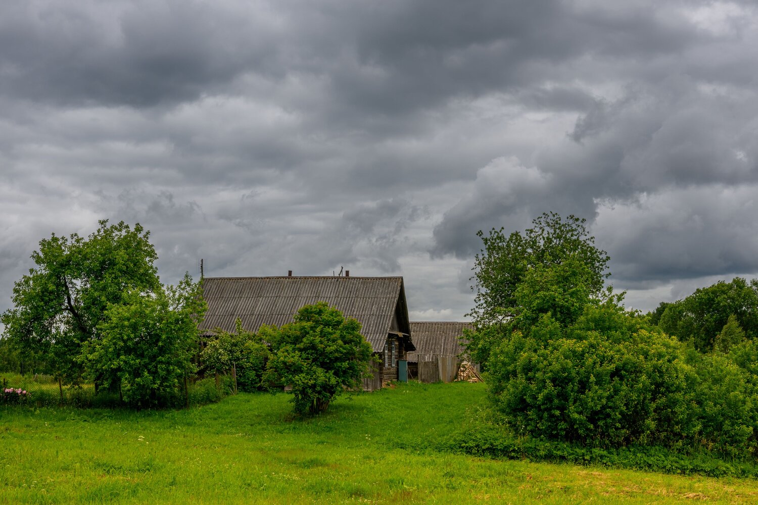 Photo #13796005