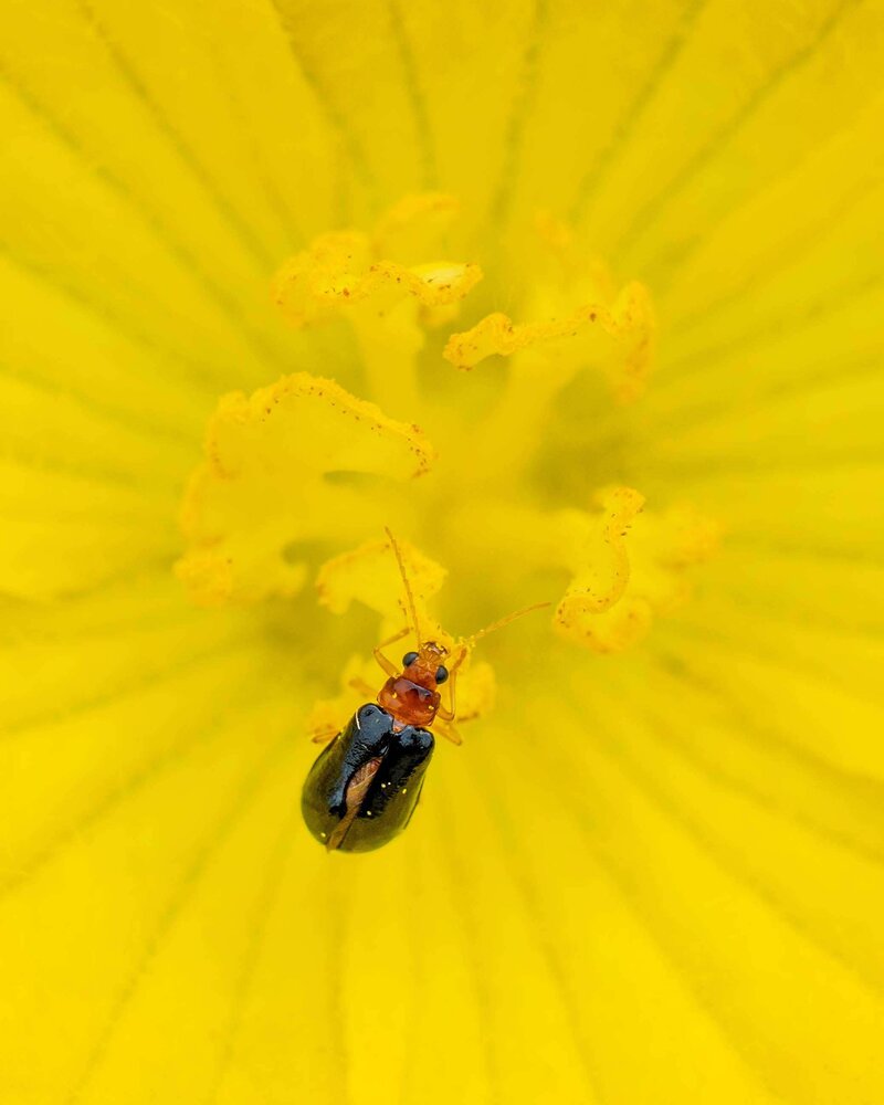 Photograph by Rahil Patel