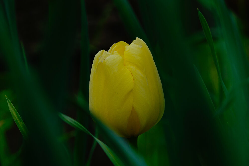 Photograph by Светлана Каравайская
