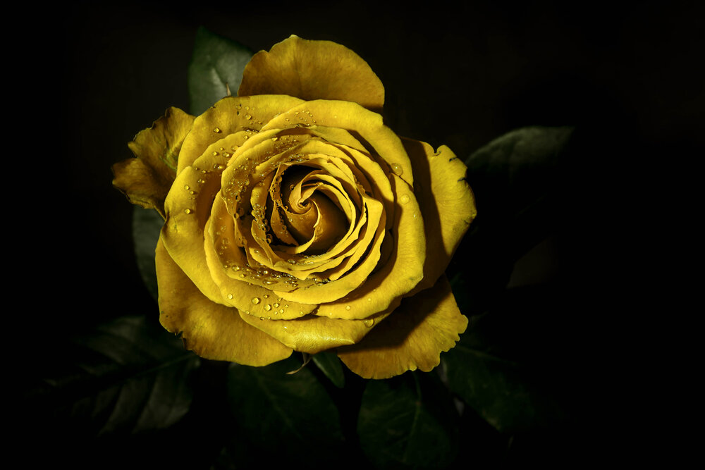 Photograph by Оксана О.
