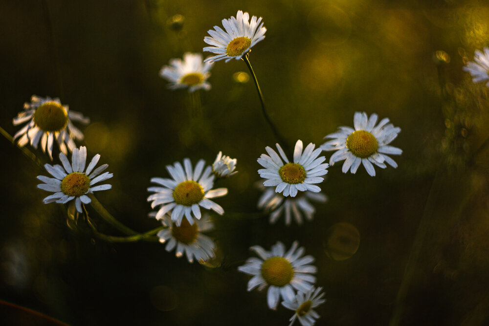 Photograph by Елена Андреева