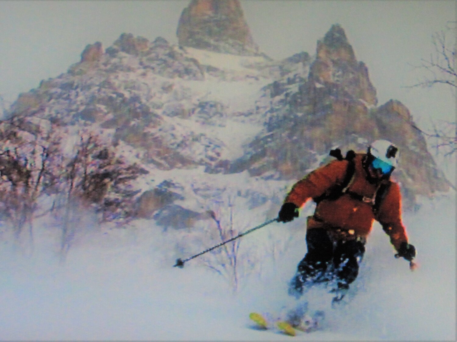 Photo #13796159
