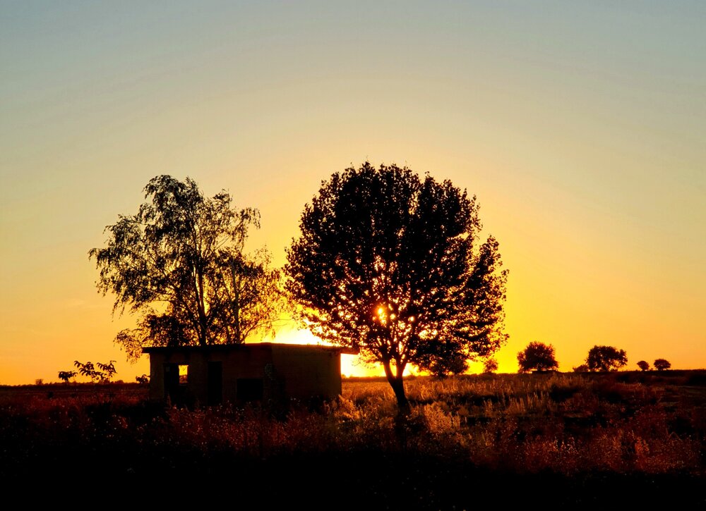 Photograph by Сергей Мамалюк