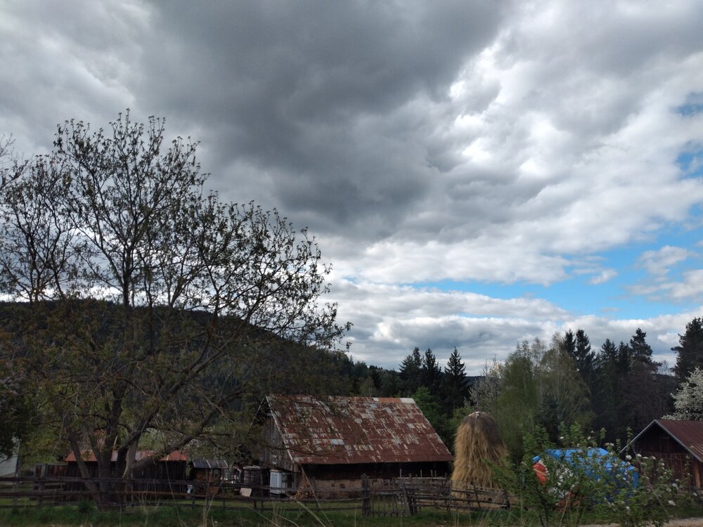Photo #13796209