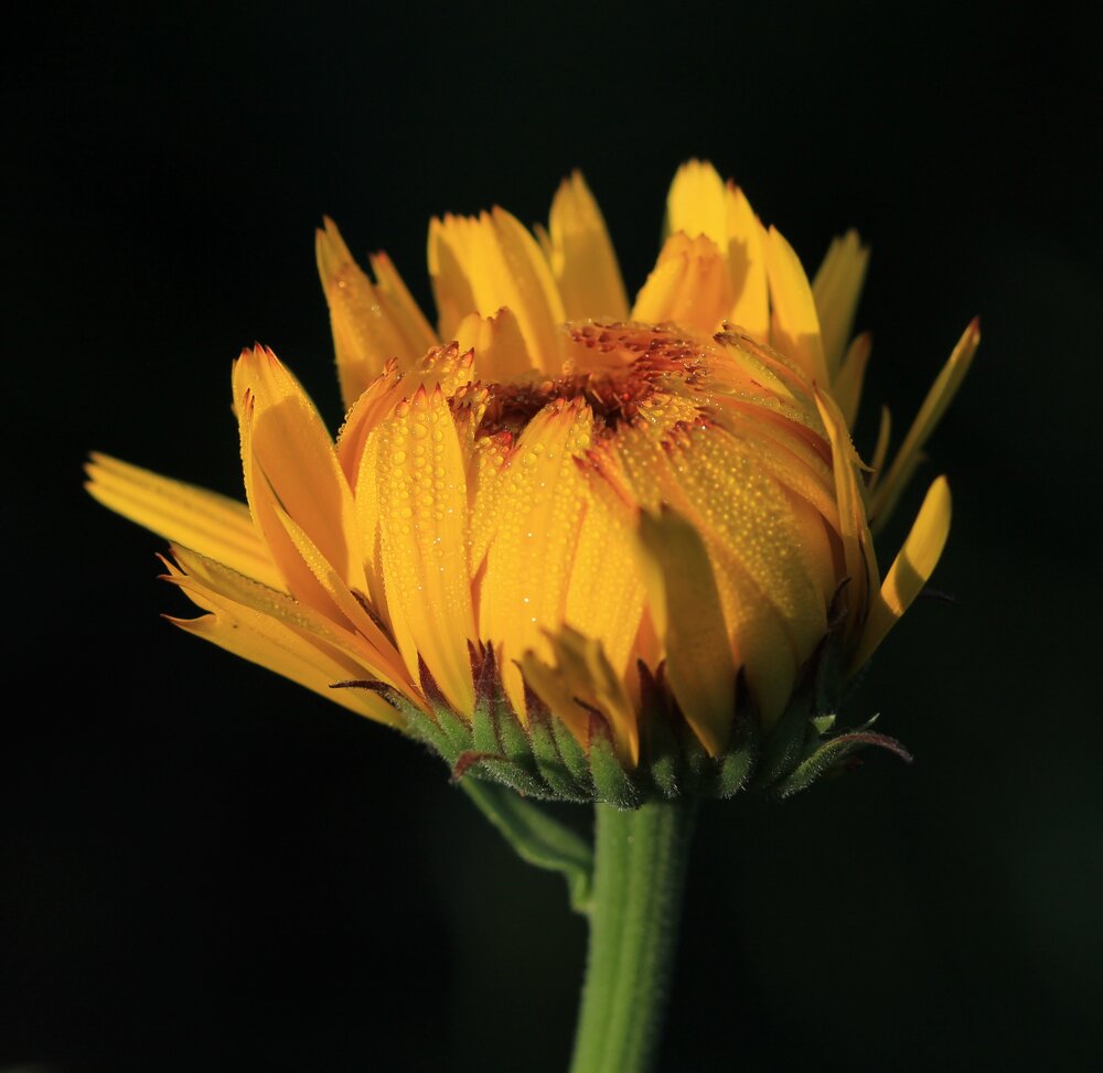 Photograph by Леунина Людмила