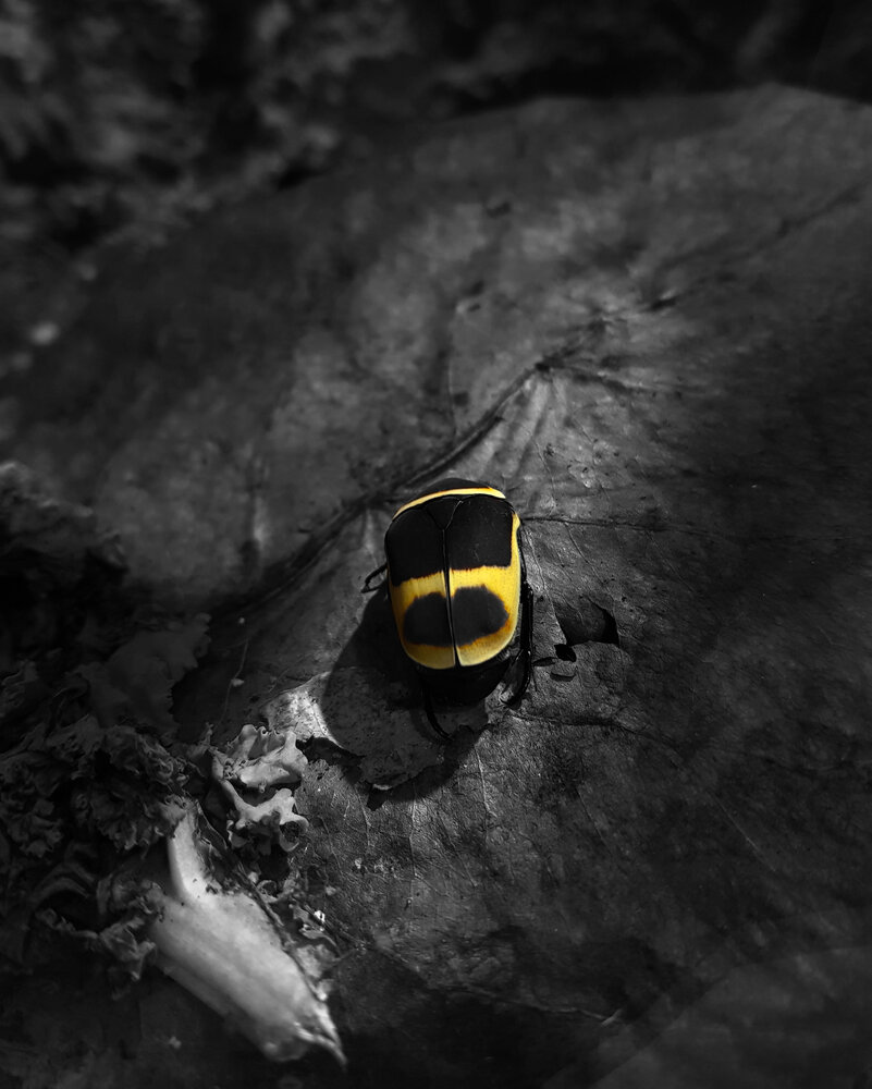 Photograph by Smahane Drissi