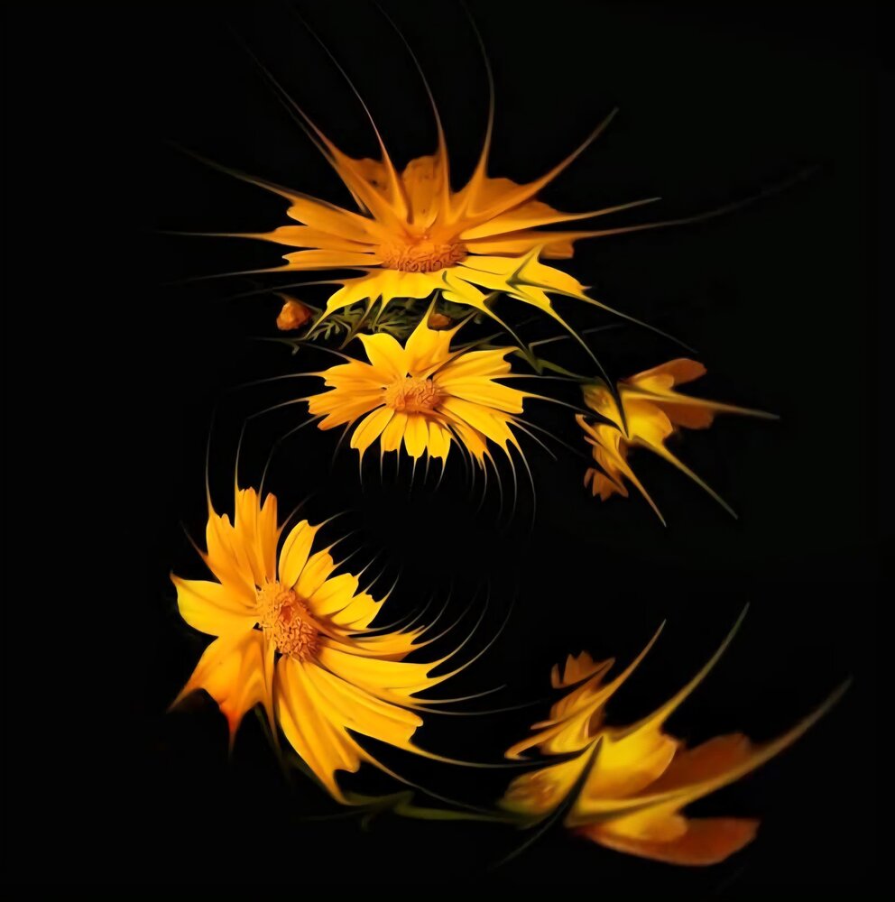 Photograph by Polina Svirida