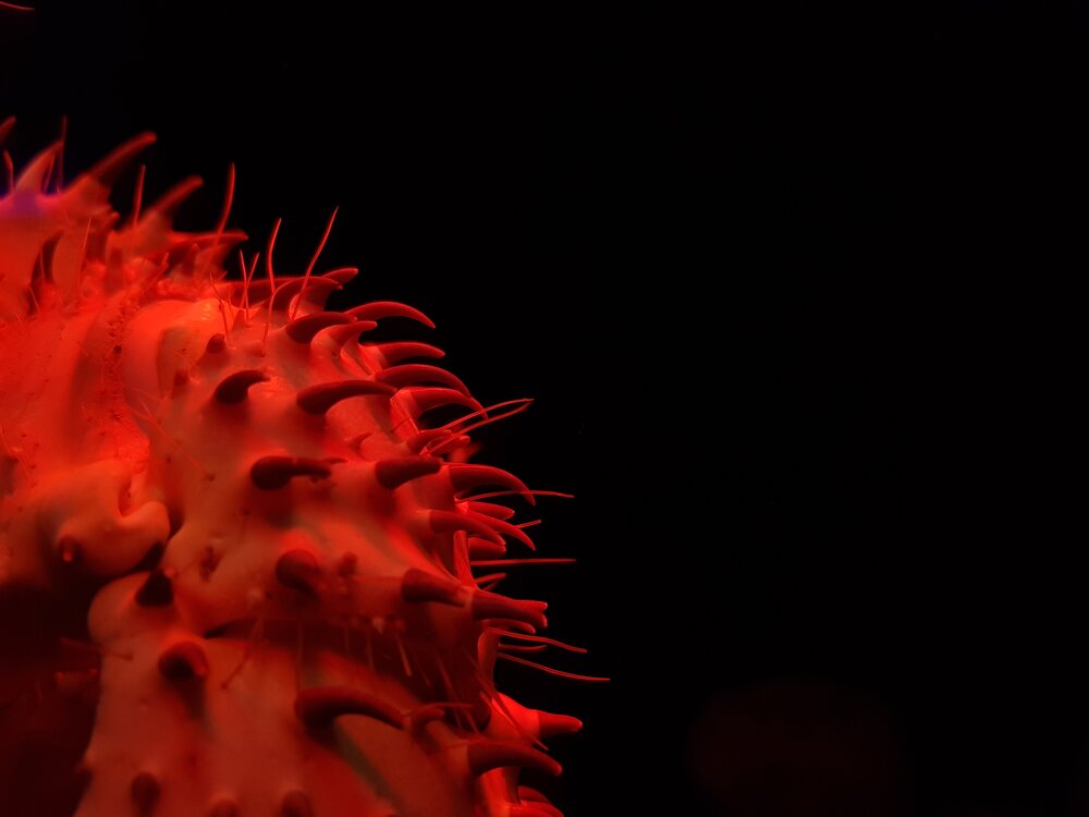 Underwater