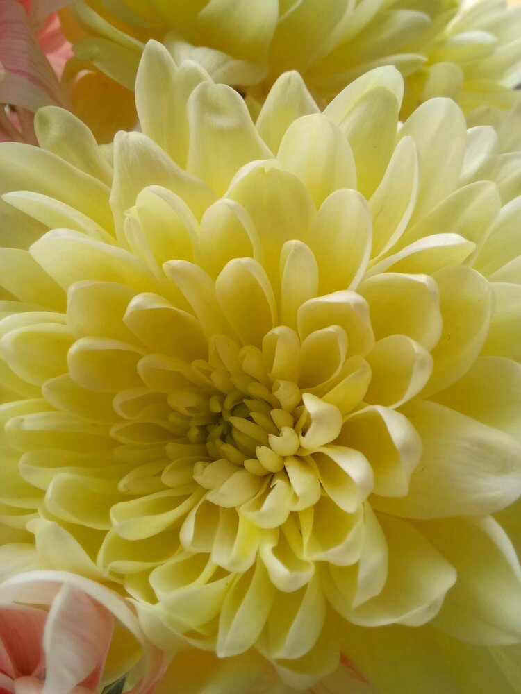 Photograph by Ольга Юрченко
