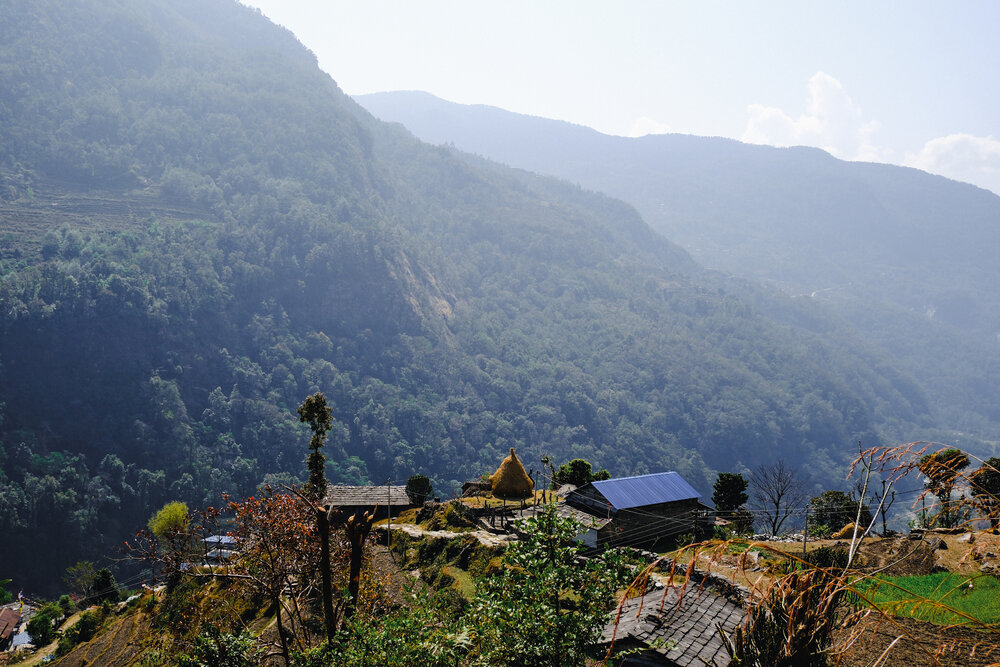 Photograph by Anna Polianskaia