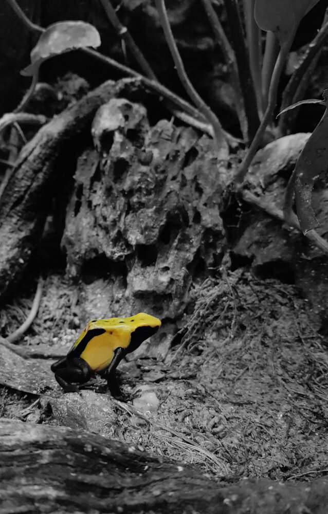 Photograph by Smahane Drissi