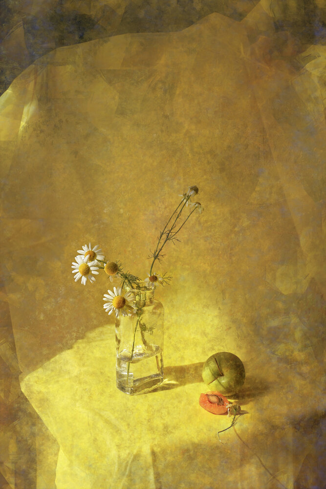 Photograph by Елена Виноградова
