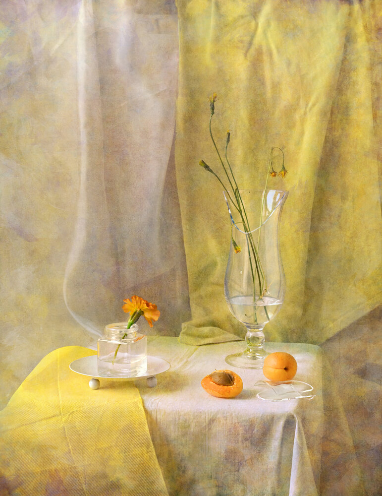 Photograph by Елена Виноградова