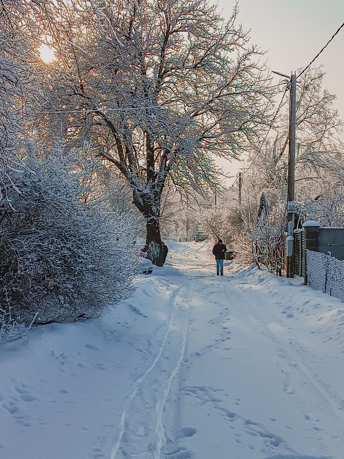 Photo #13796609
