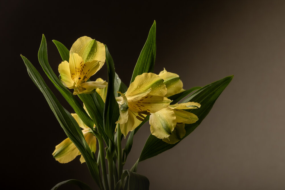 Photograph by Юлия Куликова
