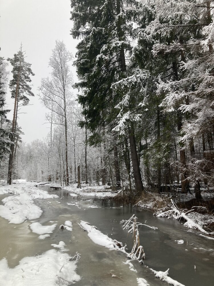 Photograph by Светлана Парамонова