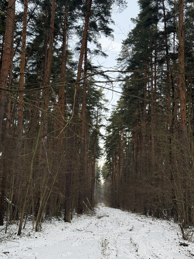 Photograph by Светлана Парамонова