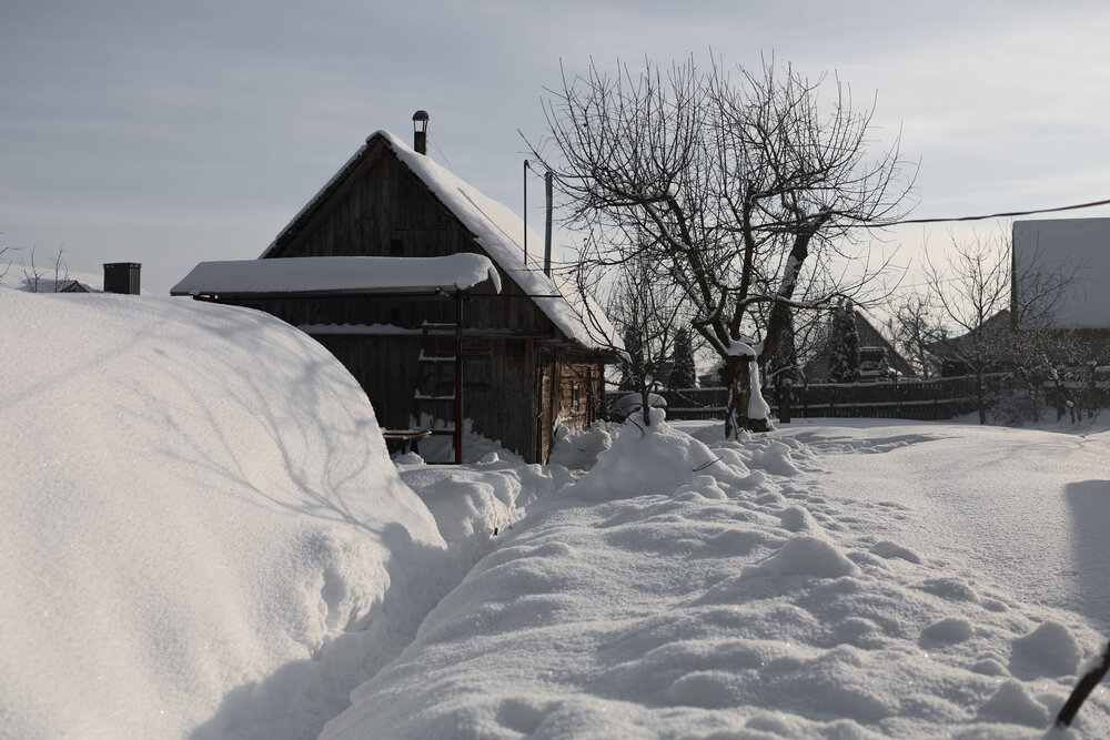 Photograph by Ирина Романовская
