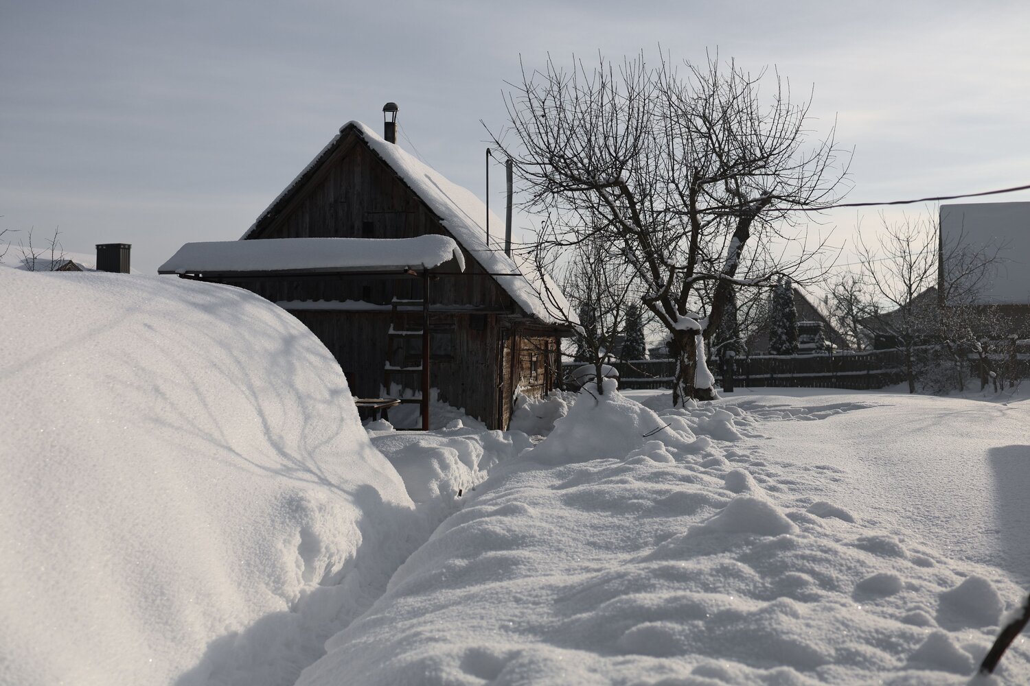 Photo #13796668