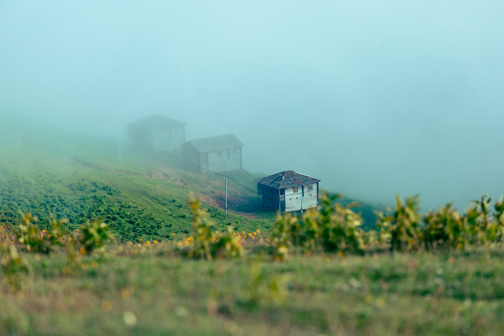 Photograph by Siarhei Saladukhin (Herr Designer)