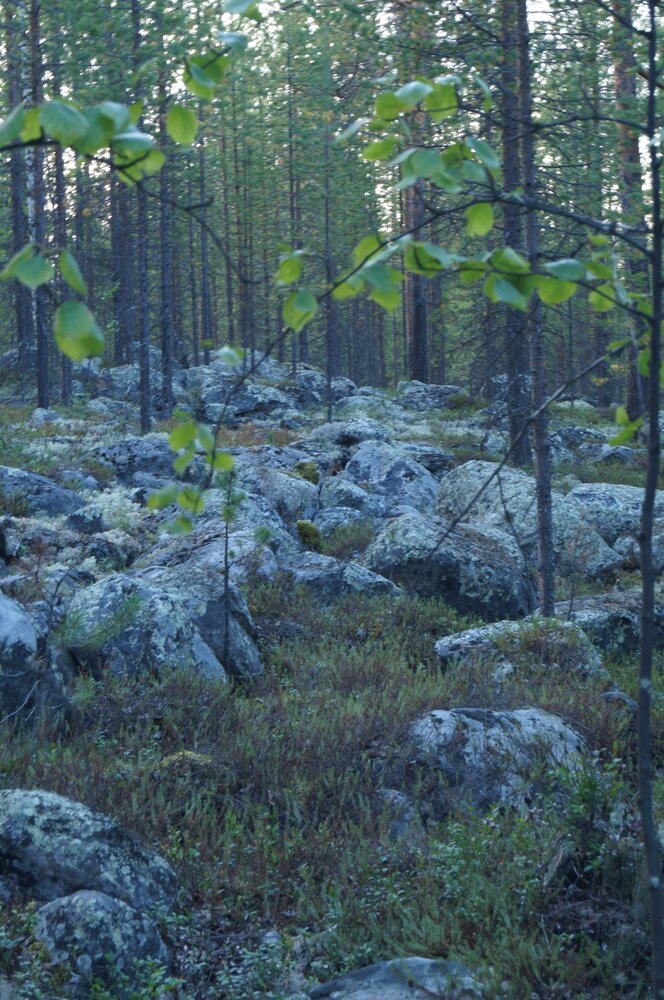 Photograph by Ирина Белозерцева