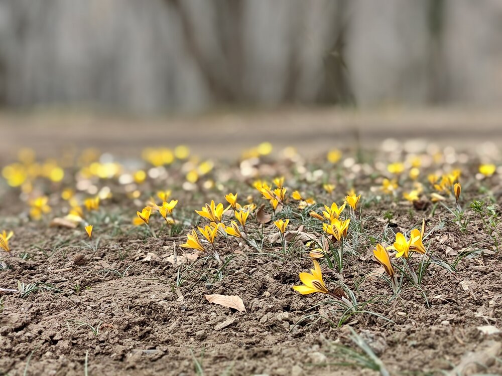 Photograph by OLGA MIKHNEVICH