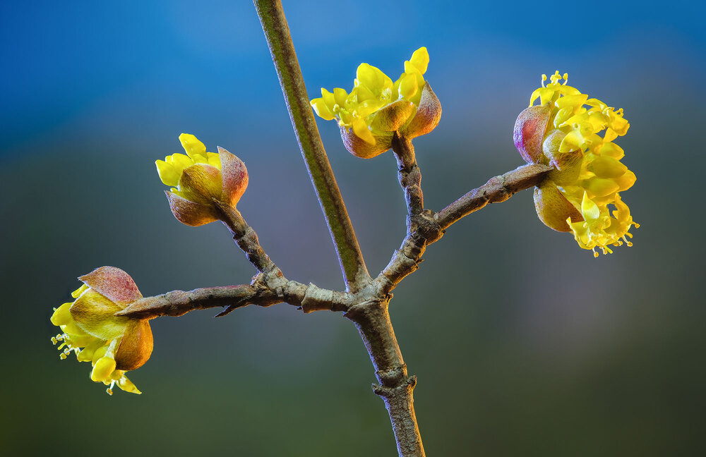Photograph by Владимир Сковородников