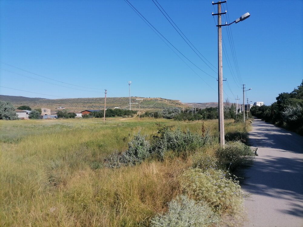 Photograph by Ольга Шабалина