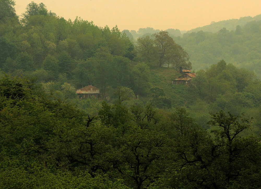 Photograph by hasan sorena jouri