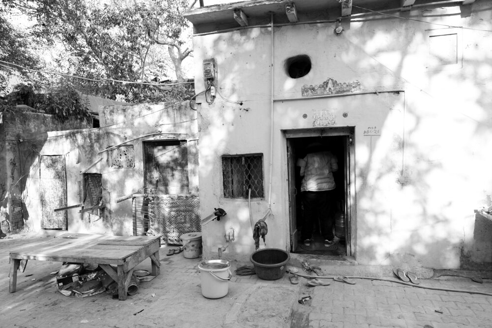 Photograph by G GOVIL